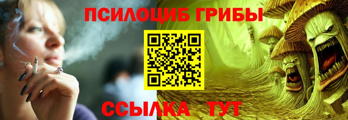 Галлюциногенные грибы Cubensis Нововоронеж