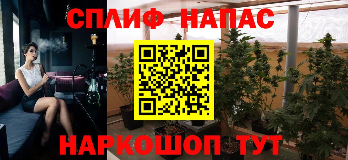 Канабис планчик Нововоронеж